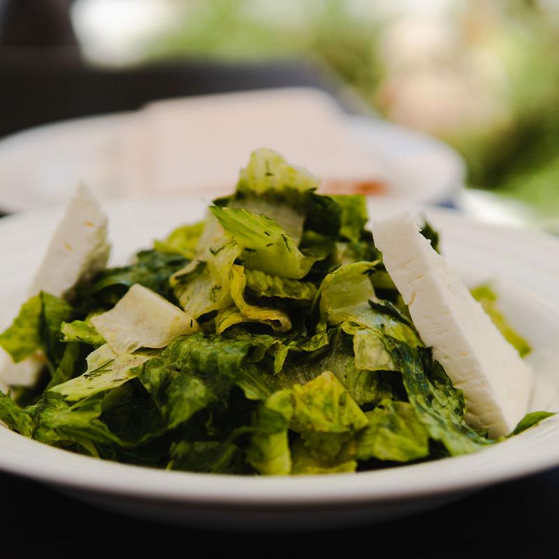Green salad with shaved cheese